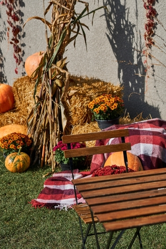 Stock up for Autumn!