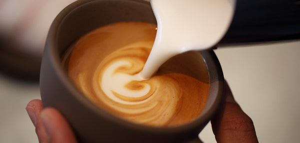 What’s The Best Milk For Latte Art and Coffee Foam?