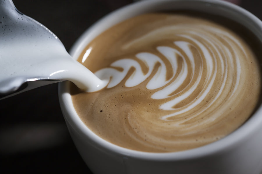 Freshly roasted coffee