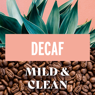 Oaxaca Decaf 1kg